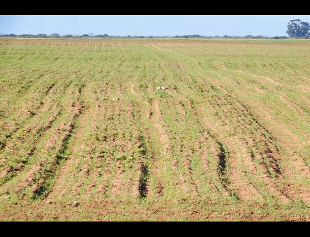 603HA FARM FOR SALE IN HOPEFIELD RURAL